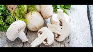 Why Button Mushrooms Good for Men  Health Benefits of Mushrooms [upl. by Uamak]