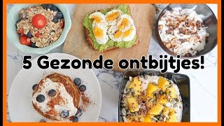 5 Recepten voor een Gezond Ontbijt  OPTIMAVITA [upl. by Gustavo68]