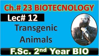 Transgenic animals I biotechnology I CH23 I Lec 12 I FSC Biology I Class 12 [upl. by Wiltz]