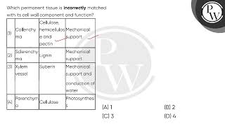 Which permanent tissue is incorrectly matched with its cell wall component and function\n\n\n\n [upl. by Toms]