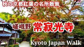 1028土秋の京都散策🍁色付き始めの紅葉 嵯峨野常寂光寺を歩く【4K】Kyoto Arashiyama walk [upl. by Leasi894]