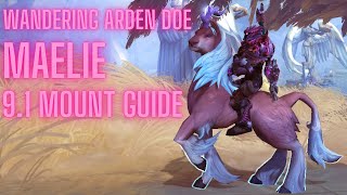 Wandering Arden Doe 91 Mount Guide  Maelie the Wanderer  Easy Korthia Mount [upl. by Hodges688]