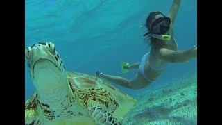 Paradise beaches amp snorkeling heaven Tobago cays [upl. by Cari]