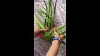 DIY KONO  Make your own basket with Harakeke NZ flax [upl. by Hedve]