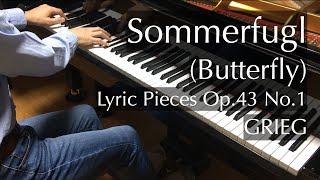 蝶々（グリーグ）Grieg  Sommerfugl Butterfly Op 43 No 1  Lyric Pieces  pianomaedaful [upl. by Gaulin]