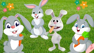 Rabbit Fun Song For Kids  MelodyMoppets [upl. by Ainegue]