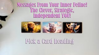 MESSAGES FROM YOUR CLEVER INDEPENDENT INNER FELINE PICK A CARD READING [upl. by Vashtia503]