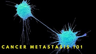 Why Cancer Spreads Metastasis Explained [upl. by Ozner194]