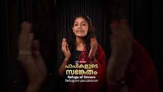 😭 പാപികളുടെ സങ്കേതം 😭 ലുത്തിനീയം 04 refugeofsinners rosary mediacatholica litany [upl. by Nauwtna]