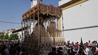 Lunes Santo 2019 Sevilla  Salida de Nstra Sra de las Mercedes Hdad Santa Genoveva [upl. by Olenolin]