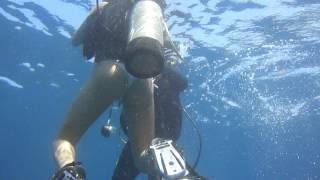 buceo en baru y bajos de salmedina con buzos de baru cartagena colombia [upl. by Etnuaed]