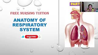 Respiratory System Anatomy amp Physiology Part 1 [upl. by Neisa]