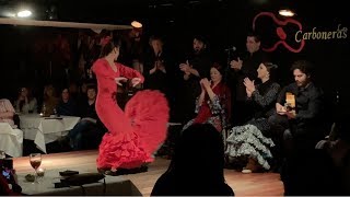 BEST Flamenco Dance in the WORLD [upl. by Atinrahc]