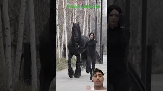 horse equestrian horselover horseriding factsinhindi facts comedyfilms shortvideo amazing [upl. by Sylas]