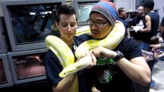 REPTILE SUPER SHOW PART 1 [upl. by Frear228]