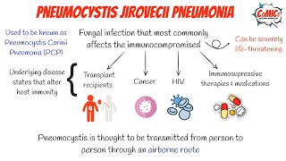 CoMICs Episode 51 Pneumocystis Jiroveci Pneumonia [upl. by Assirolc456]