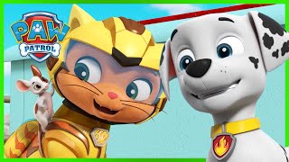 PAW Patrol The Mighty Movie  Official Hindi Trailer  13th October 2023 [upl. by Nnaylime]