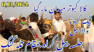 Jalsa Bail Karah  Talagang  13 June 2024 Male By Jhatla Vlog [upl. by Mcclish]