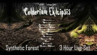 Synthetic Forest  Full live set  Caldarium Ekleipsis [upl. by Hewett]