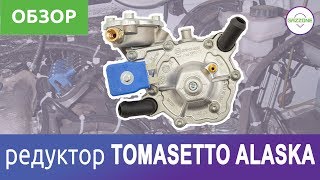 Редуктор ГБО  Tomasetto Alaska Краткий обзор [upl. by Blodgett]