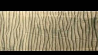 Dynamics of Wave Ripples [upl. by Risley960]