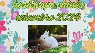 Horóscopo Chinês  Setembro 2024  Coelho [upl. by Langan]