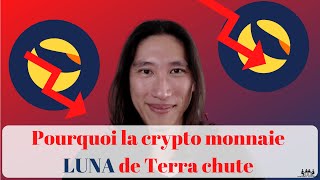 Crypto News  Pourquoi la crypto monnaie LUNA de Terra chute  Que se passetil avec le token UST 🌙 [upl. by Eerrahs]