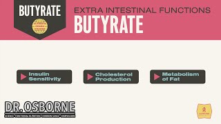 Extra Intestinal Functions of Butyrate [upl. by Eseila50]