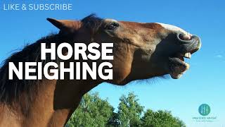 Horse Sound Effects  Horse Neighing  Download Copyright Free Sound Effects [upl. by Aldarcy]