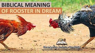 Biblical Meaning of ROOSTER in Dream  Spiritual Meaning of Roosters Hen Chicken [upl. by Diehl530]