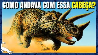 A INSANA BIOLOGIA do TRICERATOPS [upl. by Aekim]