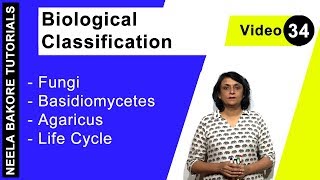 Biological Classification  NEET  Fungi  Basidiomycetes  Agaricus  Life Cycle  Neela Bakore [upl. by Eloci]