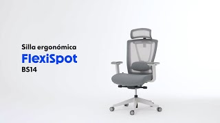 FlexiSpot  Descubre el Confort Profesional  Silla Ergonómica BS14 [upl. by Akinohs]