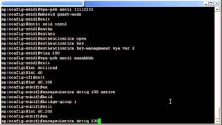 Cisco 114142n VLAN multiple SSID config [upl. by Faith]