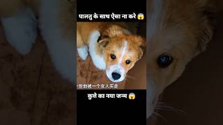 प्यारा कुत्ता और उसके पिछले जन्म की यादें 😱  short anime dog movie cartoon [upl. by Ahsilem]