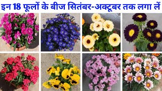 इन 18 फूलों के बीज सितंबरअक्टूबर तक लगा लें18 flowers we can grow in septemberoctober from seeds [upl. by Ennahoj]