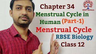 Class 12 Chapter 34 Menstrual Cycle in Human RBSE Biology Part1 [upl. by Hizar]