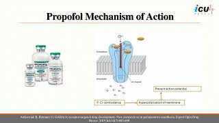 Sedative Agents in the ICU [upl. by Gievlos594]