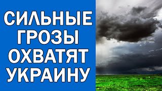 ПОГОДА НА 31 МАЯ  ПОГОДА НА СЕГОДНЯ [upl. by Eronel]