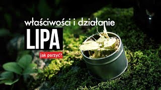 Herbata z lipy jak parzyć działanie właściwości Czajnikowypl [upl. by Akieluz]