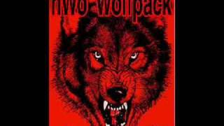 nwo wolfpac theme [upl. by Arrad]