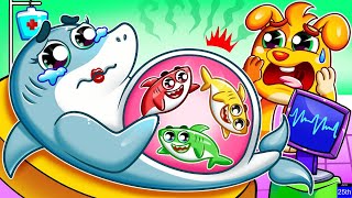 Pregnant Mommy Shark  Enjoy Fun Baby Shark Nursery Rhymes and Children Songs  Zozobee Kids Songs [upl. by Einnos]