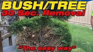 Worlds easiest and fastest way to remove Shrubs Bushes and Trees [upl. by Nhguavaj]