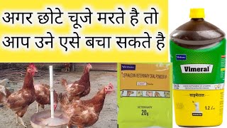 चूजे को मरने से कैसे बचाए LIXEN POWDER AND VIMERAL FOR CHICKS  2021 [upl. by Igenia]