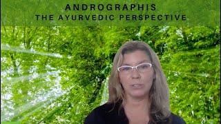 Andrographis The Ayurvedic Perspective 🌿 pt 2 [upl. by Zondra]