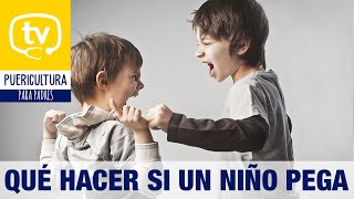 ¿Qué hacer si un niño pega Agresividad infantil [upl. by Anahsak]