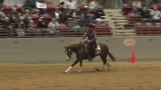 FL Classic Open Derby Matt Palmer And Gunnabewhizzin [upl. by Teteak219]