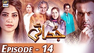 Judai Ep 14  ARY Digital Drama [upl. by Farika]