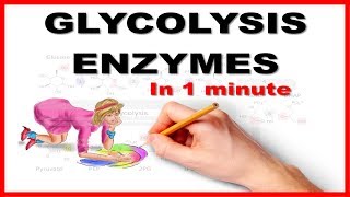 Glycolysis EnzymesHow to Remember  Mnemonic series 16 [upl. by Kauslick]