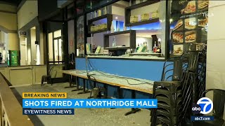 LAPD investigates shooting at Northridge mall on Black Friday [upl. by Notelrahc]